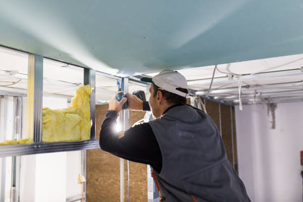 Best Wall Insulation Installation  in Mayfair, CA