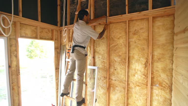 Best Blown-In Insulation  in Mayfair, CA